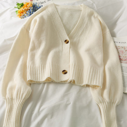 Single Breasted Cardigan With  Spaces And Long Sleeves